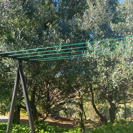 Petit Coin De Paradis En Provence Aups Dış mekan fotoğraf